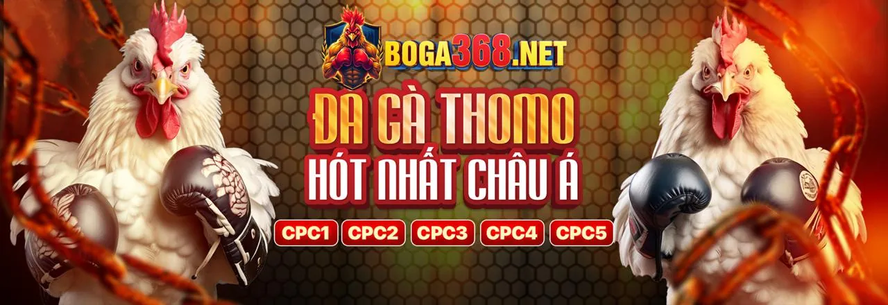 Người chơi đang phân tích chiến thuật slot